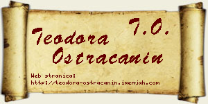 Teodora Ostraćanin vizit kartica